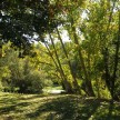 Site7.jpg